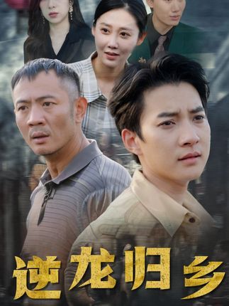 《逆龙归乡》剧情介绍