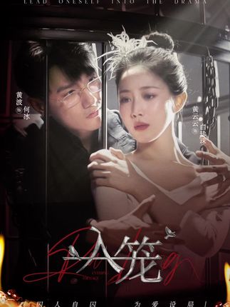 《入笼》剧情介绍
