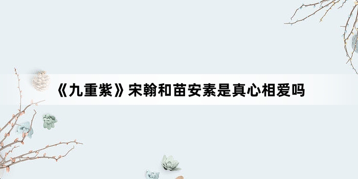 《九重紫》宋翰和苗安素是真心相爱吗