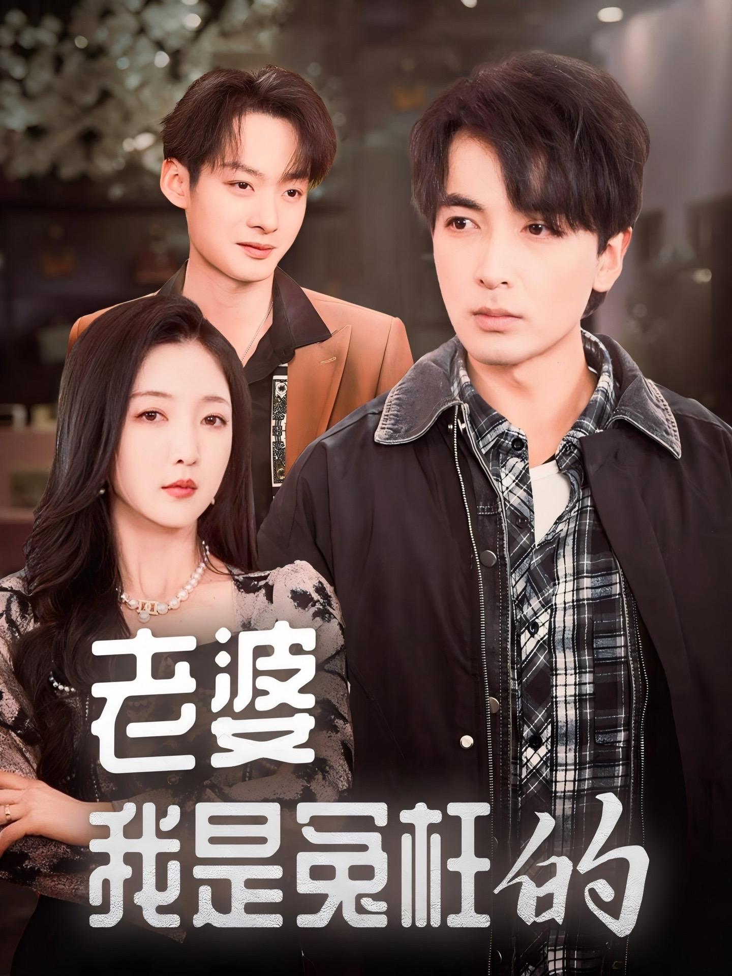 《老婆我是冤枉的》剧情介绍