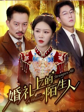 《婚礼上的陌生人》剧情介绍