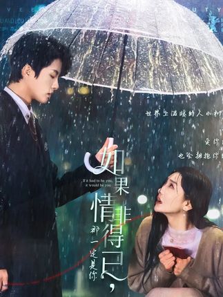 《如果情非得已,那一定是你》剧情介绍