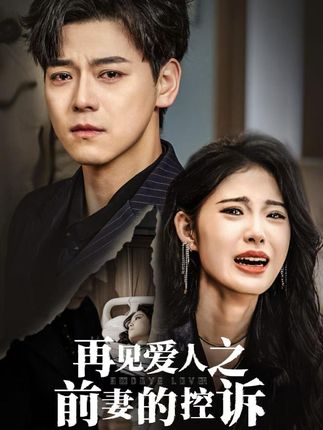 《再见爱人之前妻的控诉》剧情介绍