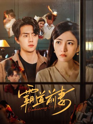 《霸道前妻》剧情介绍
