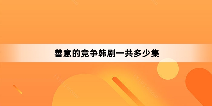 善意的竞争韩剧一共多少集