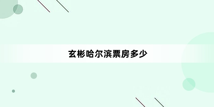 玄彬哈尔滨票房多少