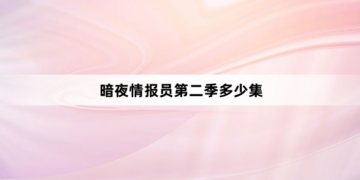 暗夜情报员第二季多少集