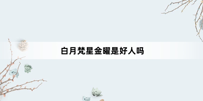 白月梵星金曜是好人吗