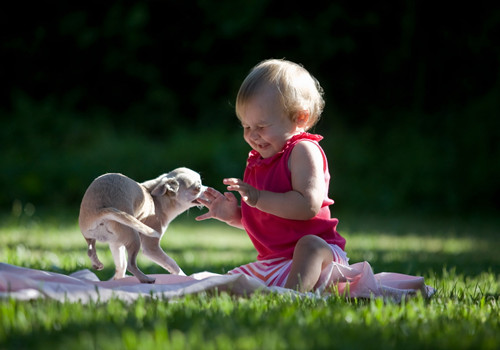 李月起个名字_带月字的名字(优选394个) 李月起个名字_带月字的名字(优选394个)