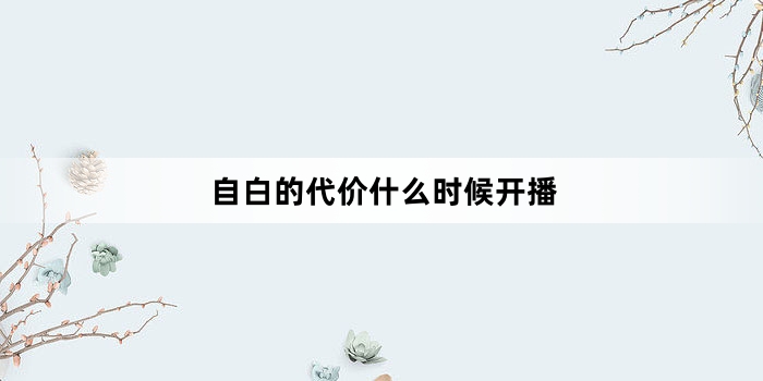 自白的代价什么时候开播