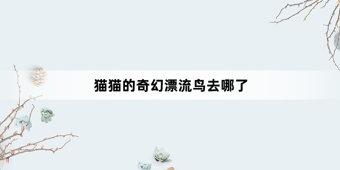 猫猫的奇幻漂流鸟去哪了