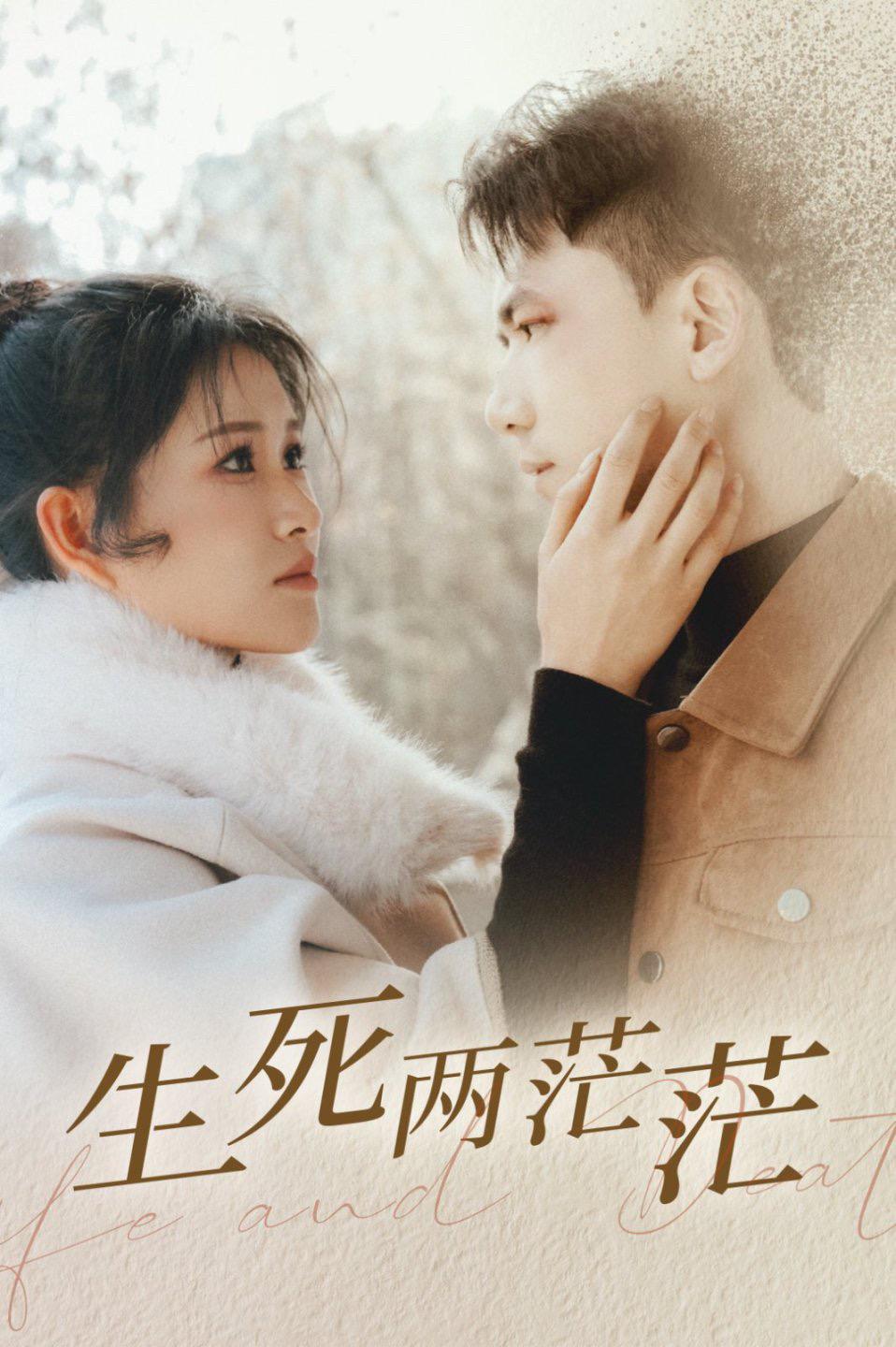 《生死两茫茫》剧情介绍