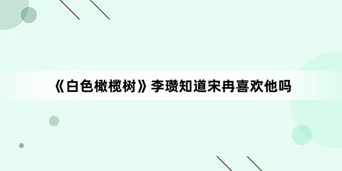 《白色橄榄树》李瓒知道宋冉喜欢他吗