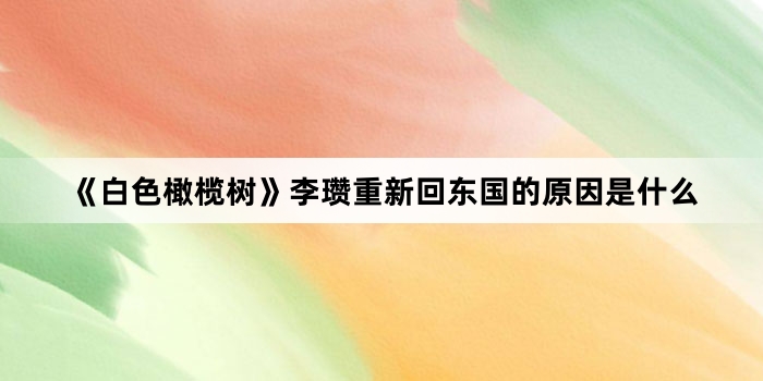 《白色橄榄树》李瓒重新回东国的原因是什么