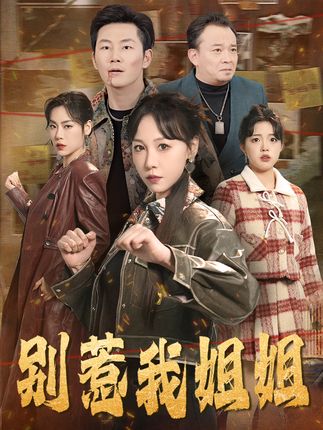 《别惹我姐姐》剧情介绍