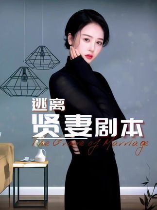 《逃离贤妻剧本》剧情介绍