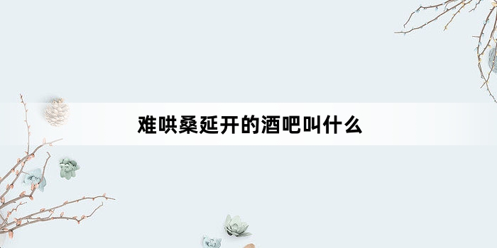 难哄桑延开的酒吧叫什么