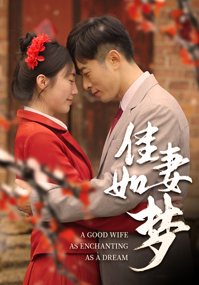 《佳妻如梦》剧情介绍