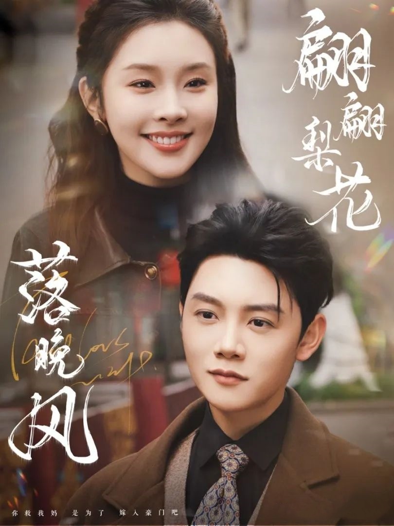 《翩翩梨花落晚风》剧情介绍