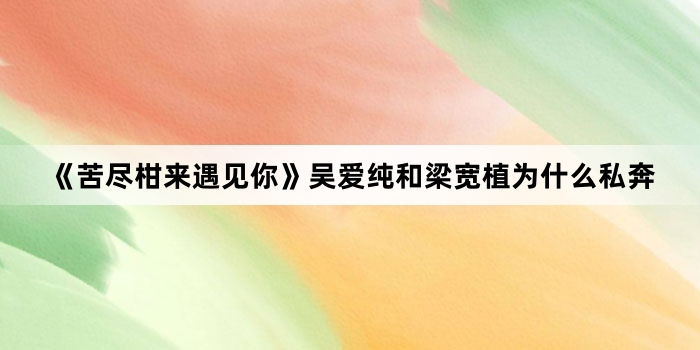 《苦尽柑来遇见你》吴爱纯和梁宽植为什么私奔