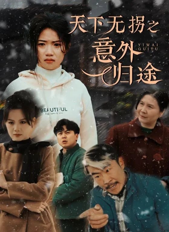 《天下无拐之意外归途》剧情介绍
