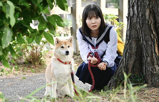 《今日份的散步》全集剧情分集介绍