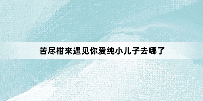 苦尽柑来遇见你爱纯小儿子去哪了