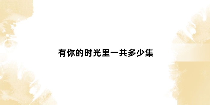 有你的时光里一共多少集