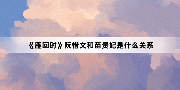 《雁回时》阮惜文和苗贵妃是什么关系