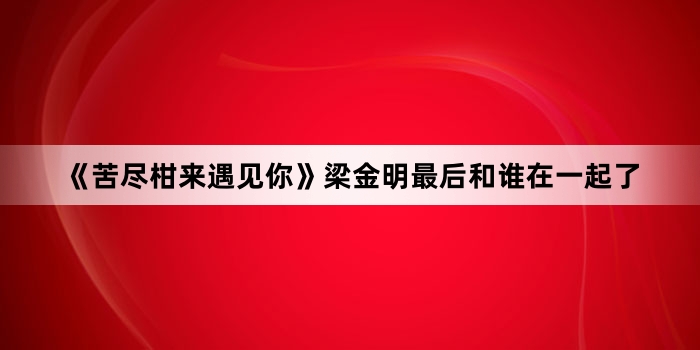 《苦尽柑来遇见你》梁金明最后和谁在一起了