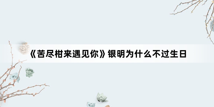 《苦尽柑来遇见你》银明为什么不过生日