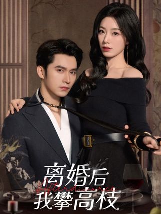 《离婚后我攀高枝》剧情介绍
