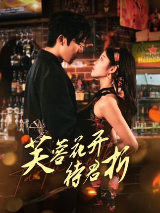 《芙蓉花开待君折》剧情介绍