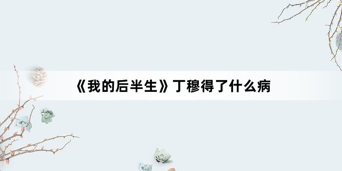 《我的后半生》丁穆得了什么病