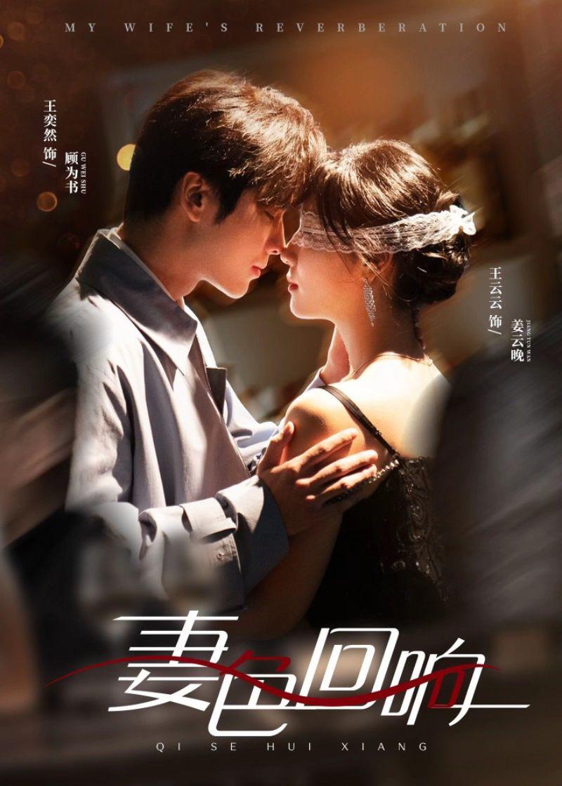 《妻色回响》剧情介绍