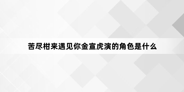 苦尽柑来遇见你金宣虎演的角色是什么