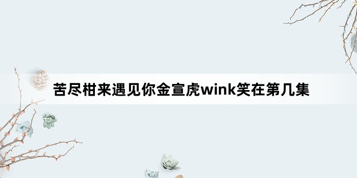 苦尽柑来遇见你金宣虎wink笑在第几集