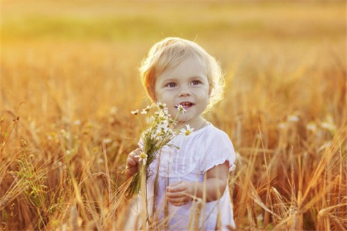 滢潼字的女孩名字寓意_带滢字的名字(优选412个) 滢潼字的女孩名字寓意_带滢字的名字(优选412个)