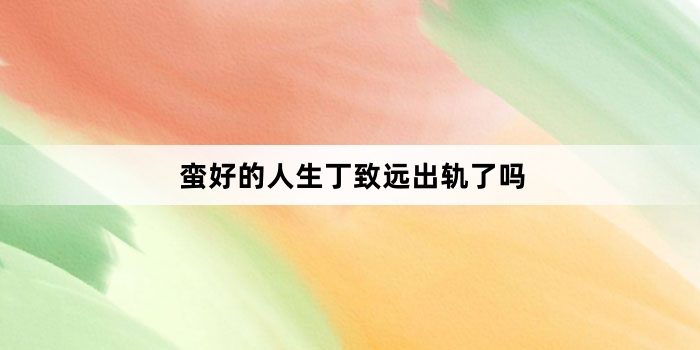 蛮好的人生丁致远出轨了吗