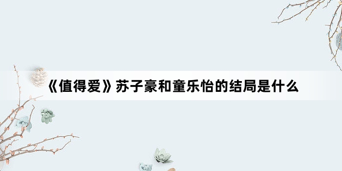 《值得爱》苏子豪和童乐怡的结局是什么