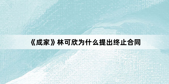 《成家》林可欣为什么提出终止合同