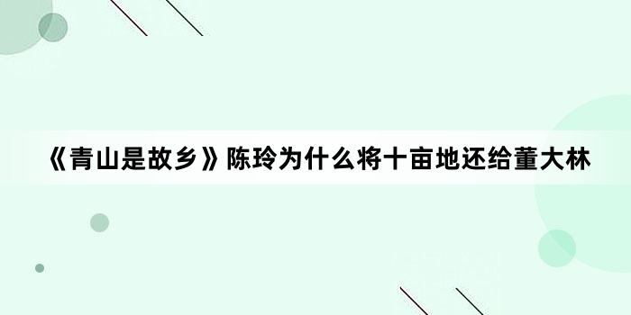 《青山是故乡》陈玲为什么将十亩地还给董大林