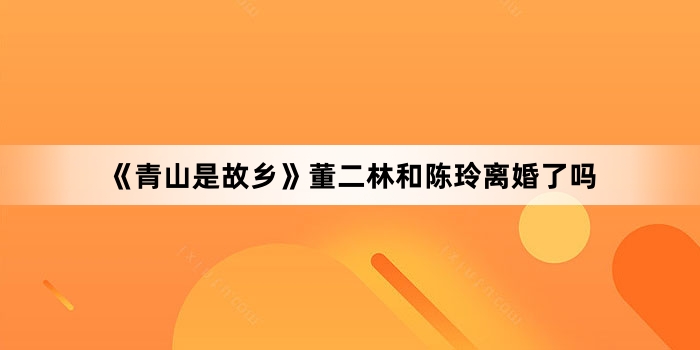 《青山是故乡》董二林和陈玲离婚了吗