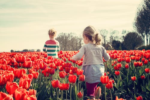 五行属水木的名字大全-姓名测试打分最准 五行属水木的名字大全-姓名测试打分最准