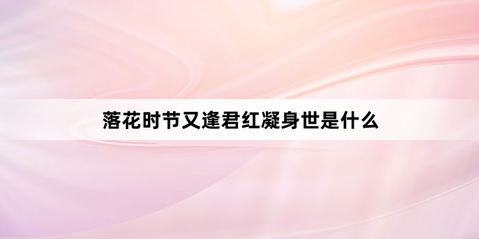 落花时节又逢君红凝身世是什么