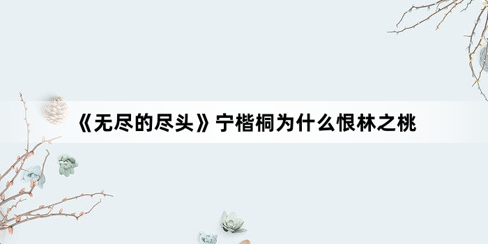 《无尽的尽头》宁楷桐为什么恨林之桃