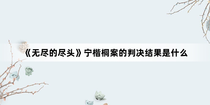 《无尽的尽头》宁楷桐案的判决结果是什么
