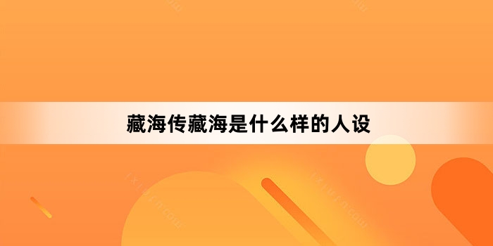 藏海传藏海是什么样的人设