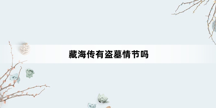 藏海传有盗墓情节吗