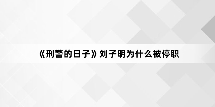 《刑警的日子》刘子明为什么被停职